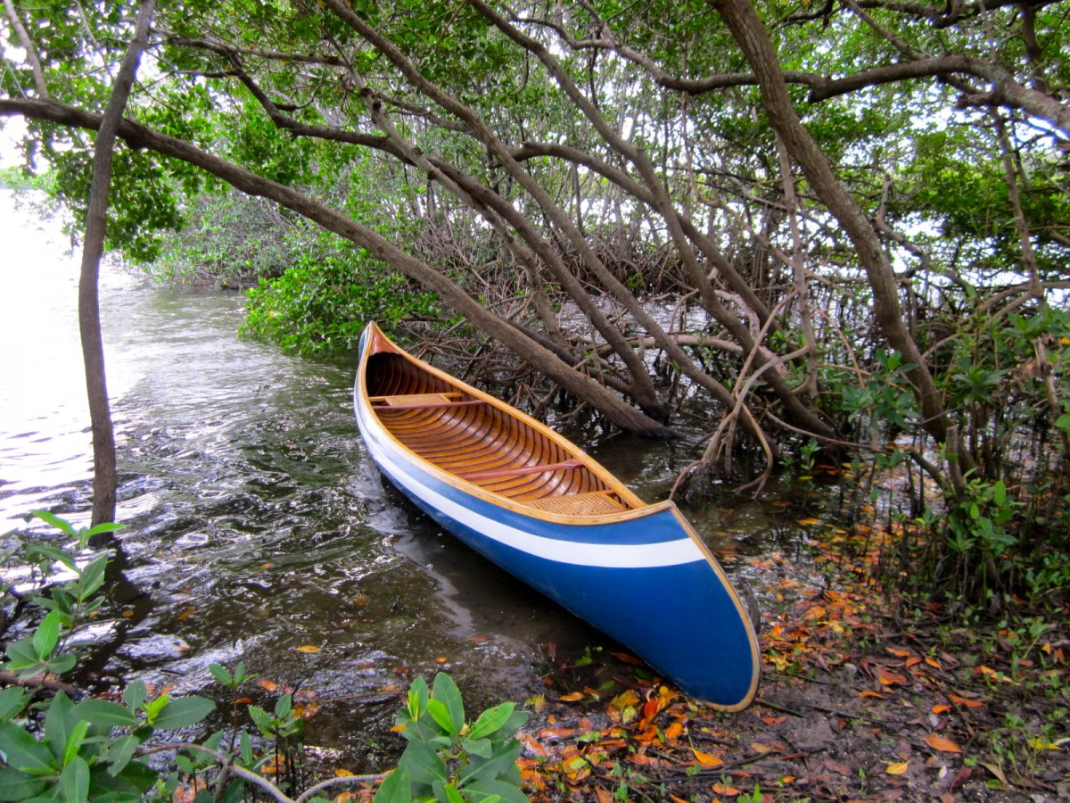 Bayou boat