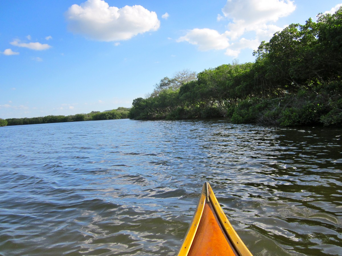 on the water