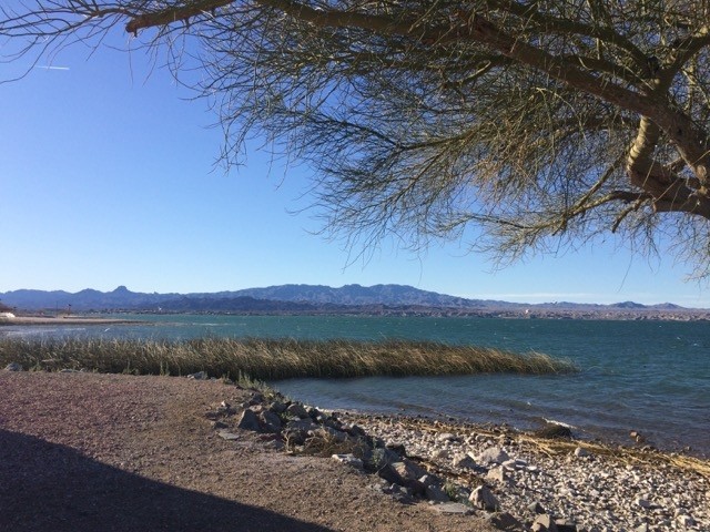 Lake Havasu view