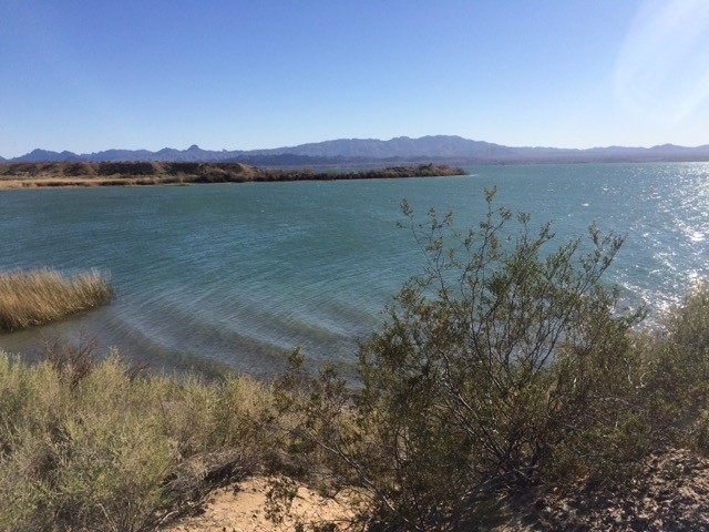 Lake Havasu