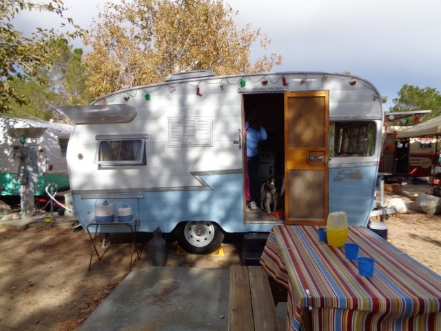 Joei's Shasta
