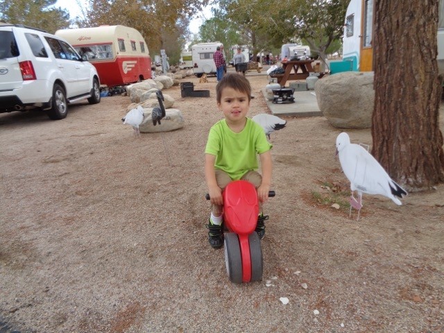 Joshua rides . . .