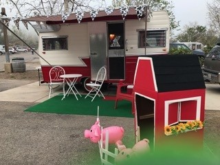 Shasta & farm life