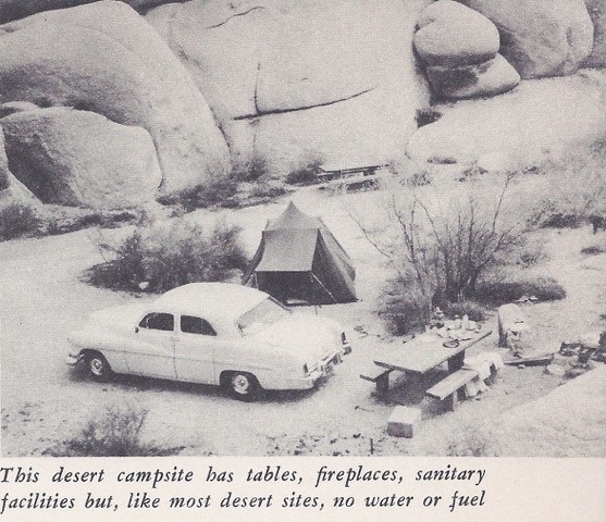 Sunset Ideas for Family 3 Camping (tents)