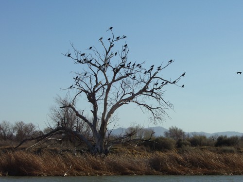 
Mojave Regional Park
Victorville, CA
 