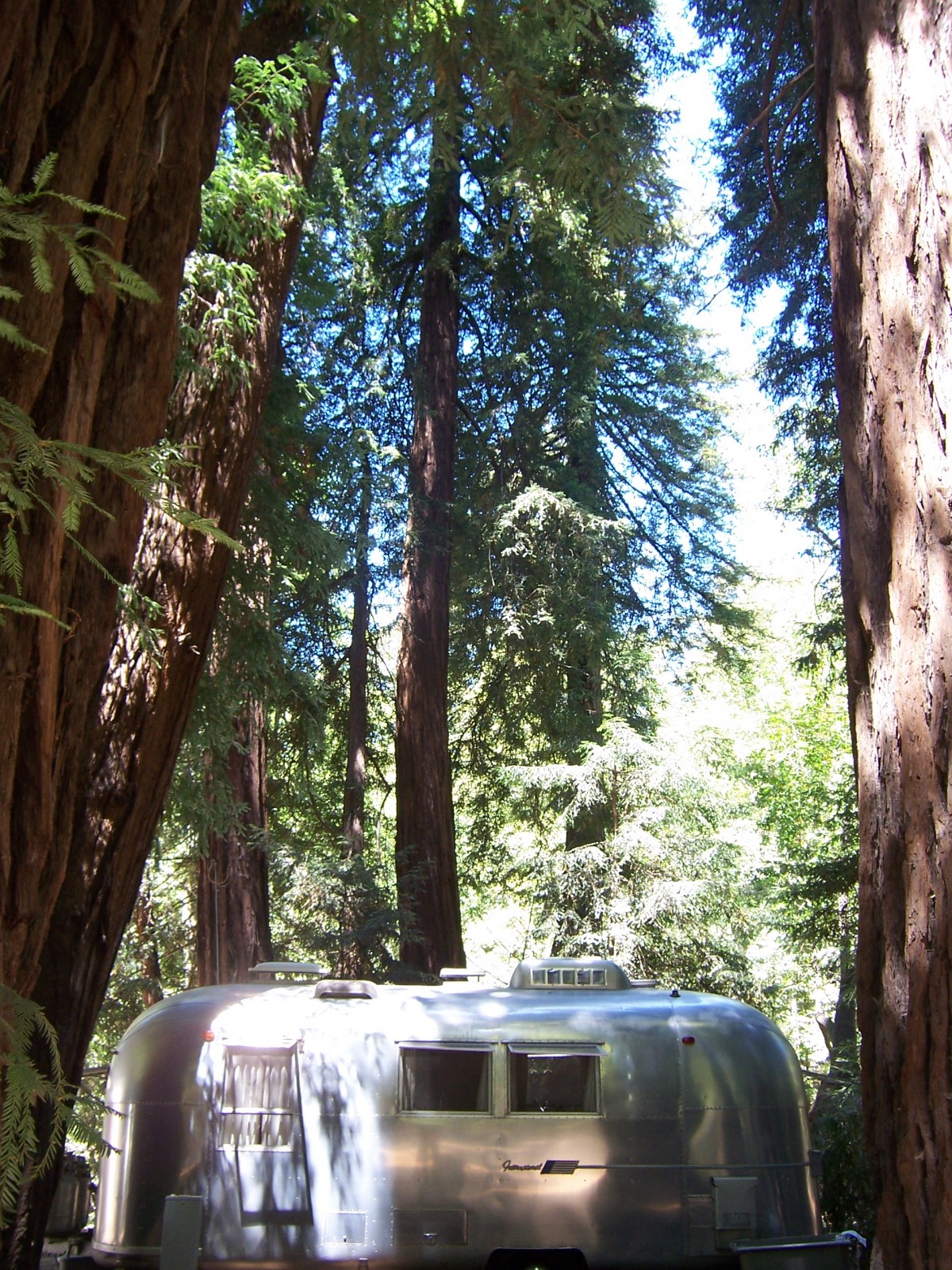 "Gleaming Among
Big Sur's Redwoods"
1965 Airstream
Safari International
David & Patricia Bybee
Long Beach, California
