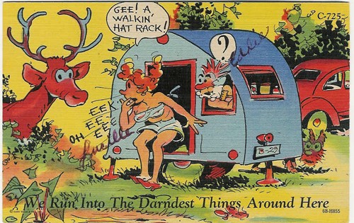 c. 1946
PM 1952
We Run Into The Darndest Things Around Here..."GEE! A WALKIN' HAT RACK!"
C.T.Trailer Comics-10 Subjects
C-725; 6B-H855
(Genuine Curteich-Chicago)