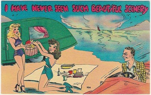 c.
I HAVE NEVER SEEN SUCH BEAUTIFUL SCENERY
904
(Published by Asheville Postcard Co., N.C.)