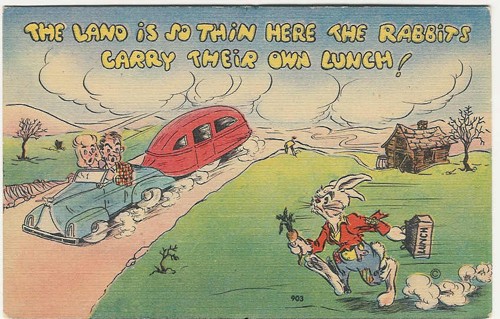 c.
"The land is so thin here the rabbits carry their own lunch!"
903 (By MWM, Aurora, Mo.)