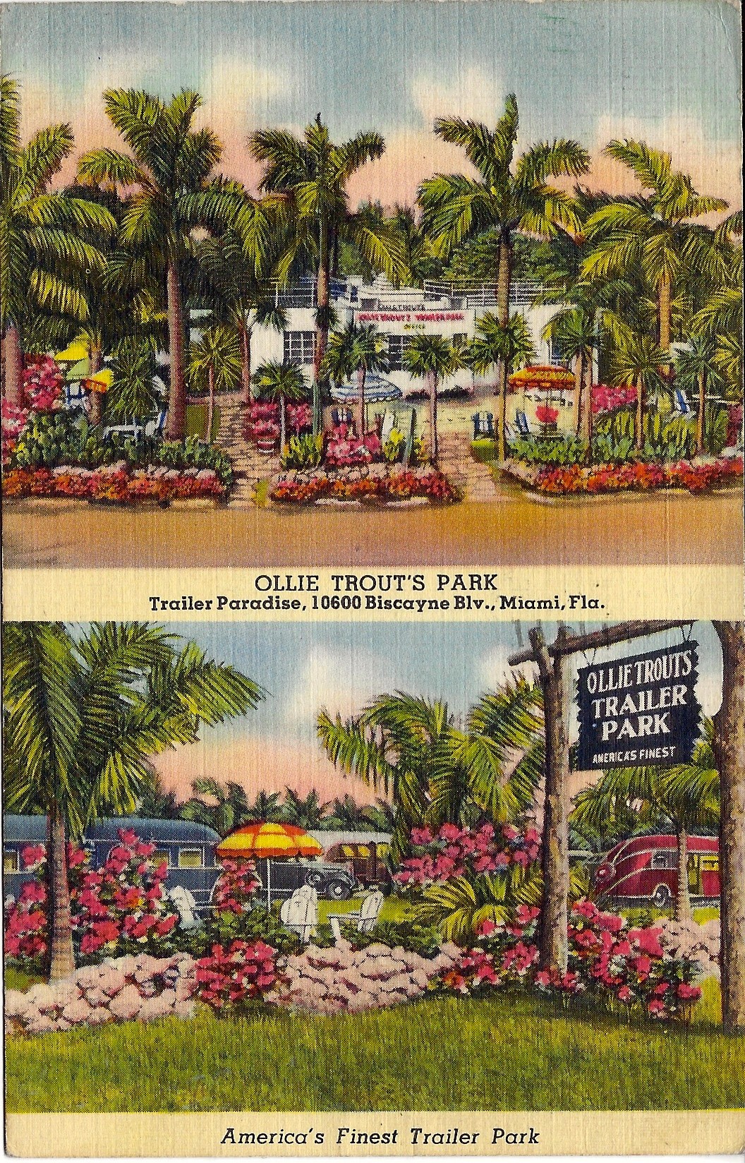 
PM 1941
Ollie Trout's Park
Miami, Fla.
("Colourpicture" Publication
Cambridge, Mass. U.S.A.) 