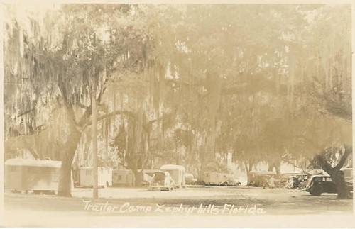 
c. mid-late 1930s
TRAILER CAMP
Zephyrhills, Florida
 