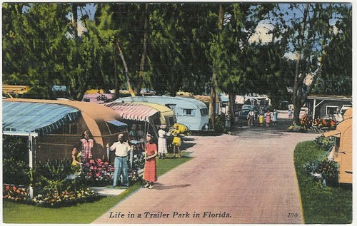 
c.
Life in a Trailer Park in Florida
100; 82089
("Tichnor Quality Views" by Tichnor Bros., Inc., Mass.) 