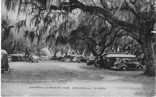 
c.
Zephyrhills Trailer Camp
Zephyrhills, Florida
(Artvue Post Card Com., N.Y.) 
