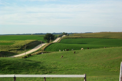 
Visiting Kay's relatives at their family farm in beautiful Maquoketa . . . 