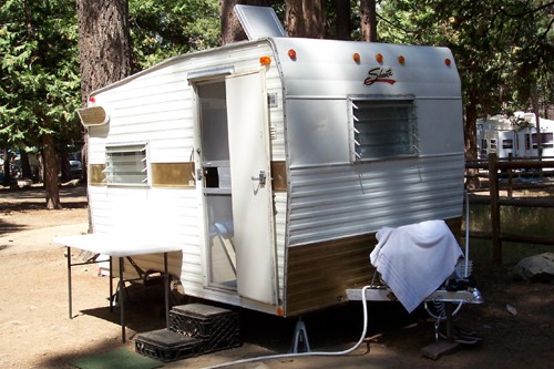 Shasta