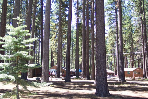 Cabins nestled in the woods.
Camp Richardson