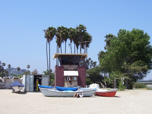 
Lifeguard dorries. 