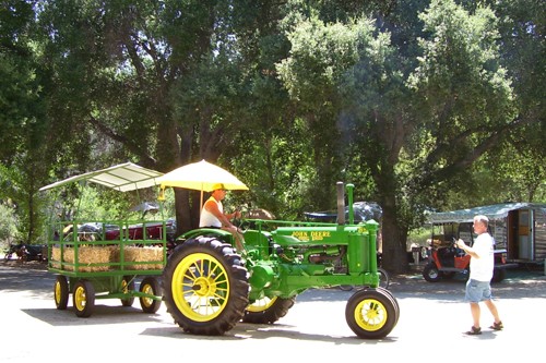 
Hayrides were available. 