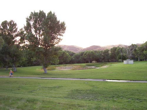 
Dry pond. 