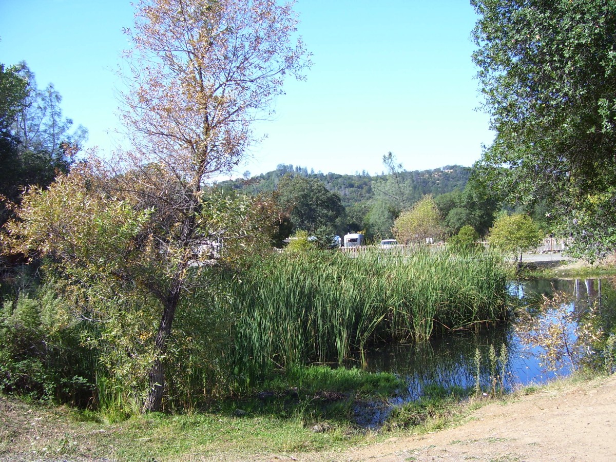 Thank you, Ron & Tyla Biale & friends, for planning and organizing such an enjoyable weekend.