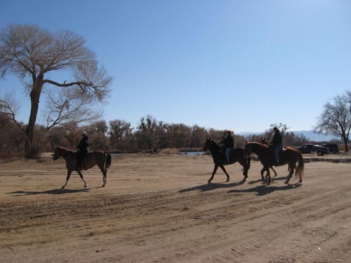 
Horseback riding available 