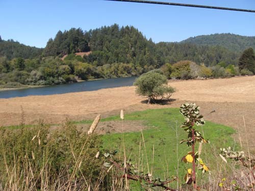 Overlooking Casini Ranch
& the Russian River