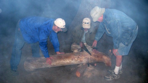Keeping the campfire going