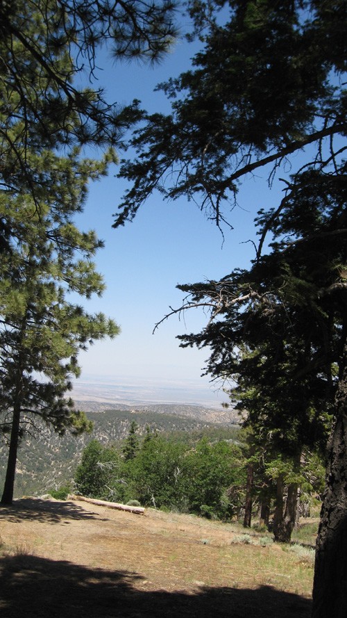 
View from campsite 