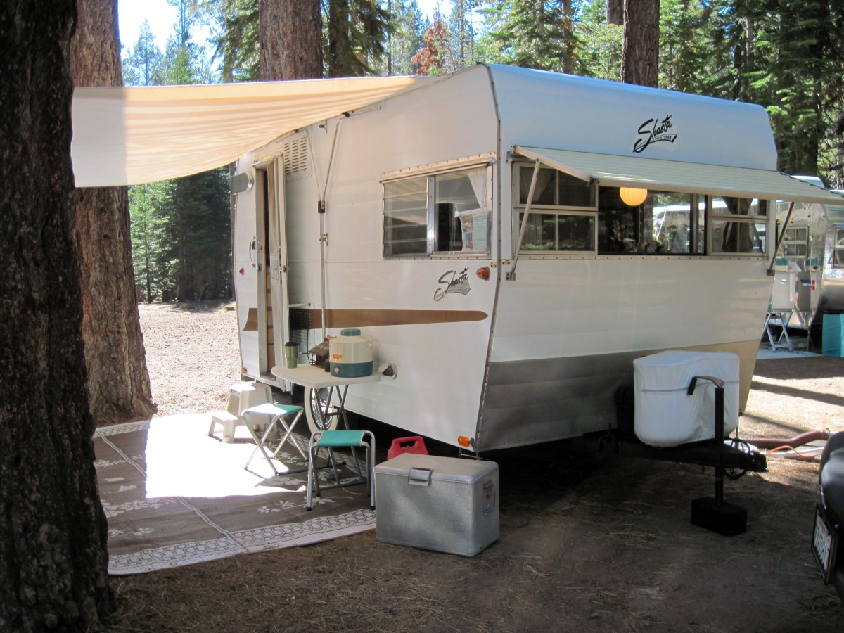 Shasta