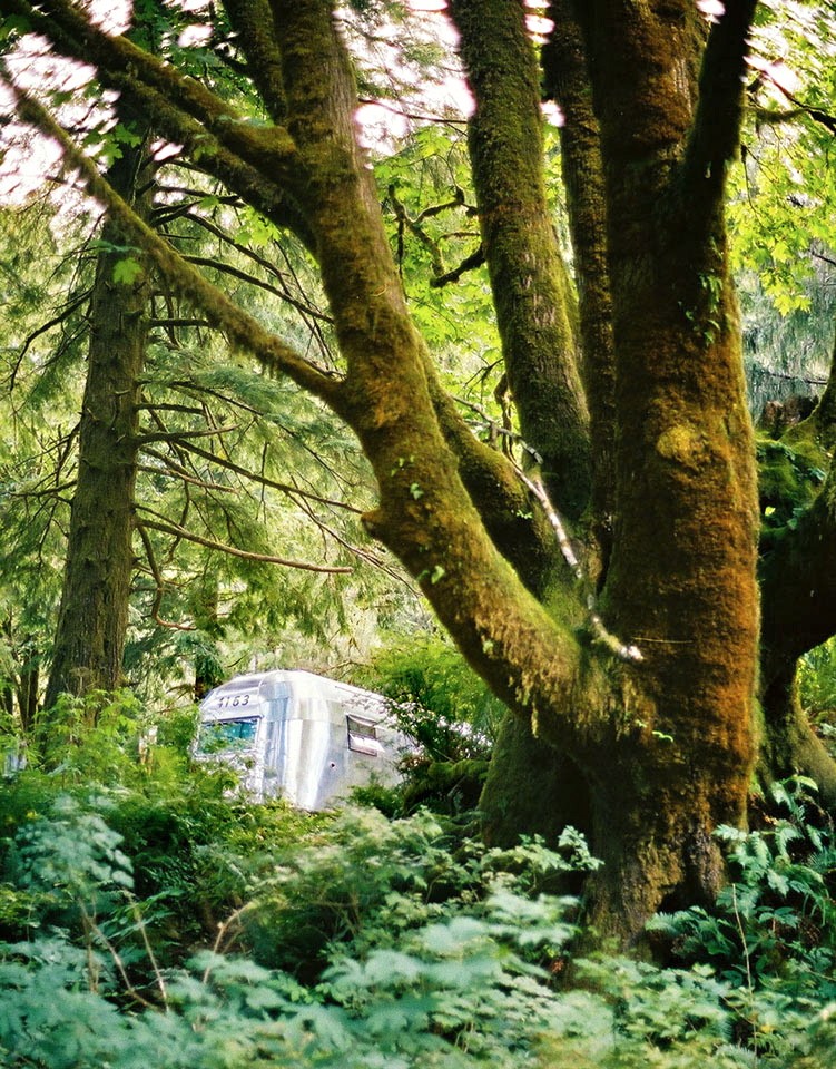1954 Airstream
Flying Cloud
Brian, Liza
& Natalie Cooper
Pollock Pines, California