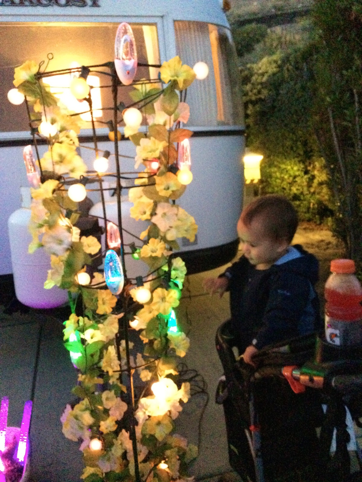 Mesmerized by the lights