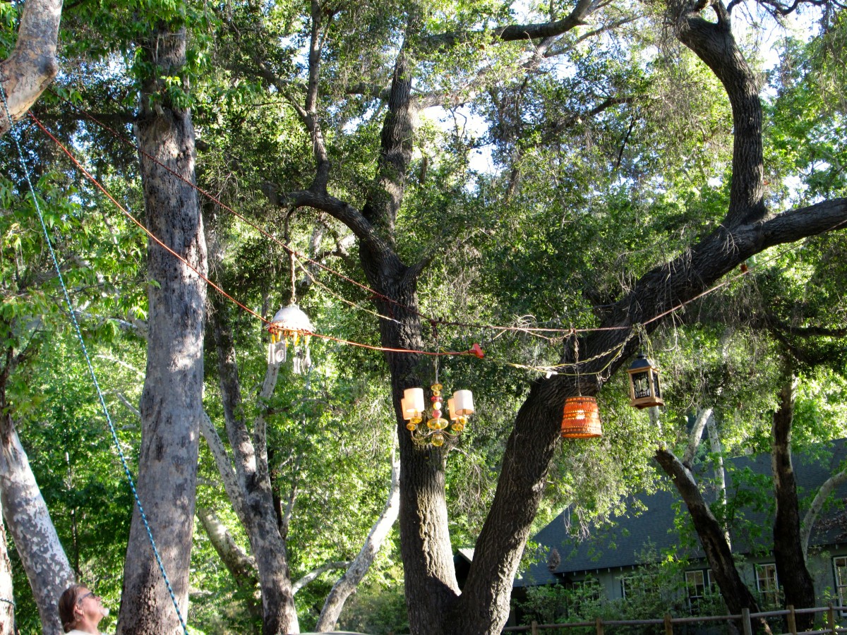 Chandeliers are up!